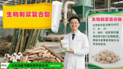 生物制浆复合酶说明
